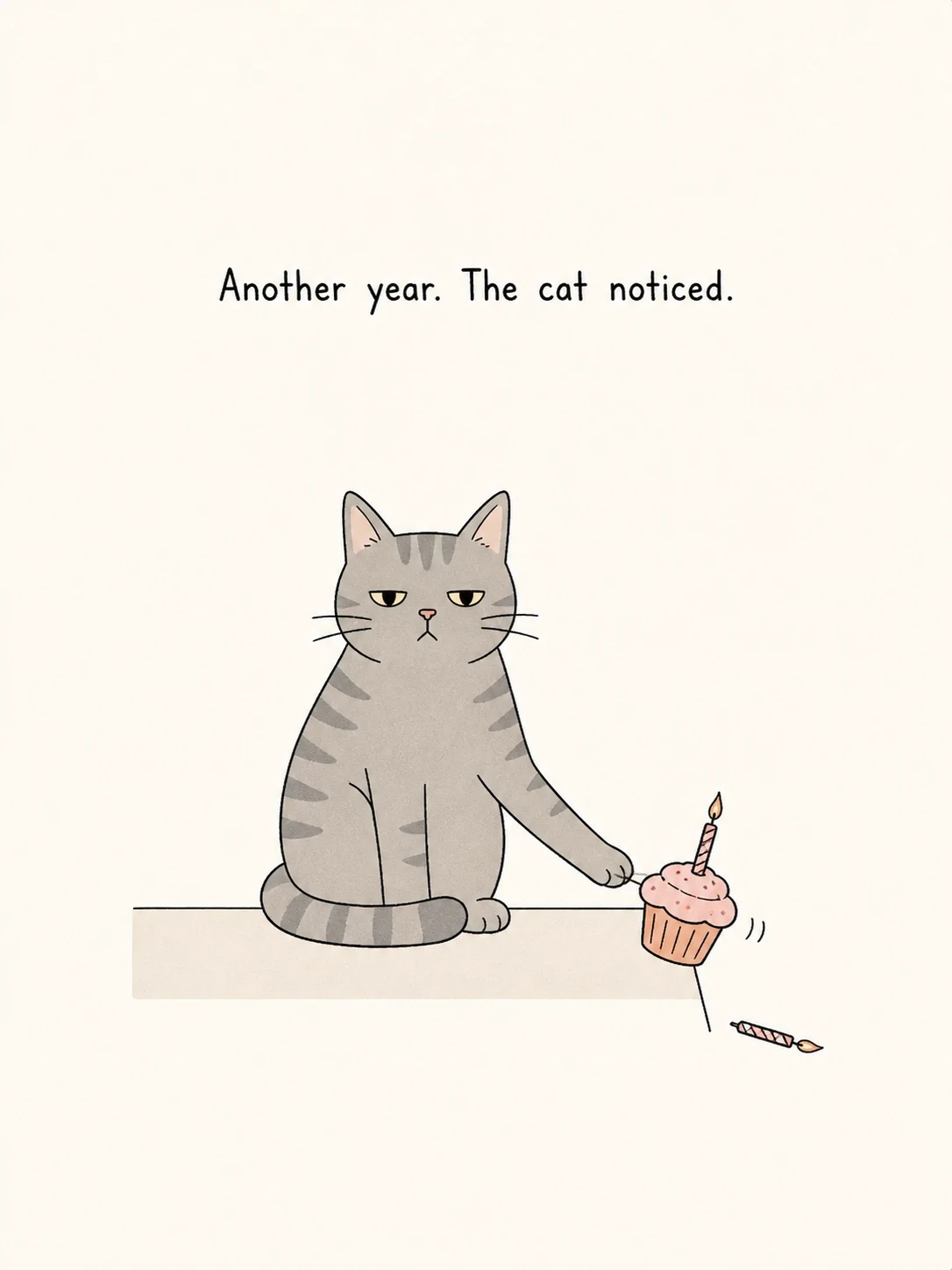 Cat Judges You